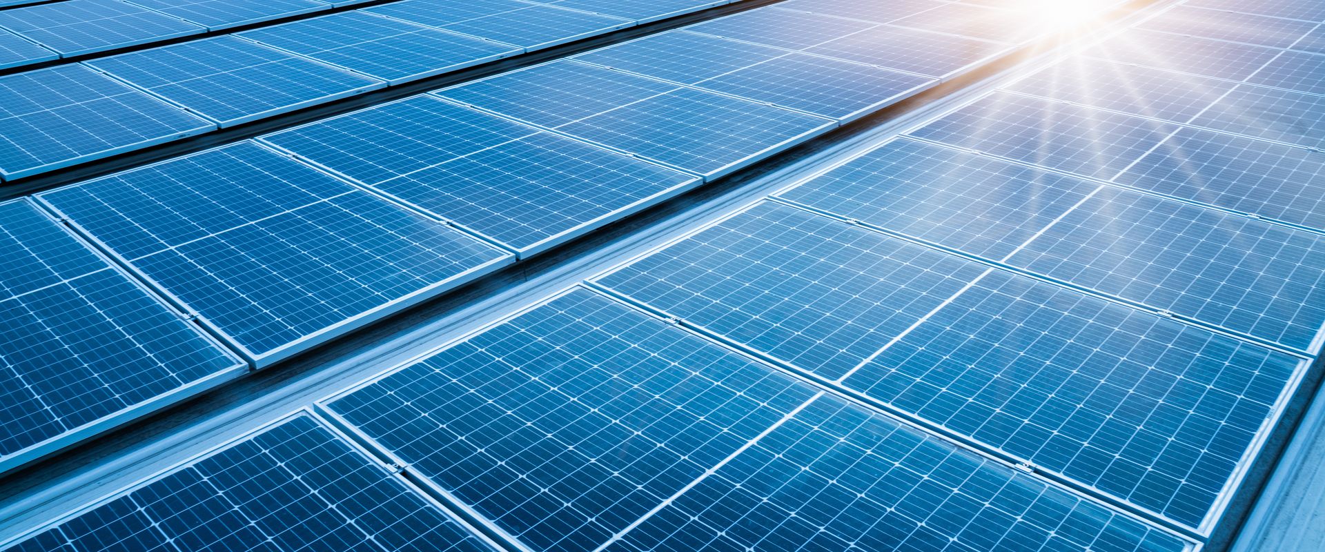 Photovoltaikmodule für nachhaltige Energieversorgung